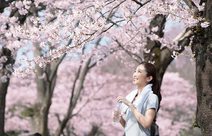 Meditative Walk in Japanese Garden/Satoyama