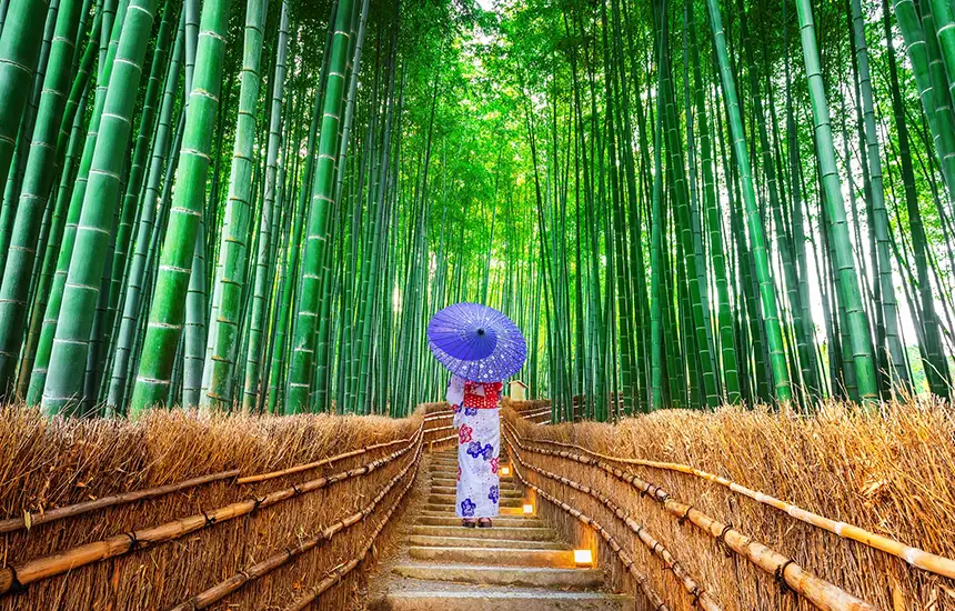 An image symbolizing the overall wellness trip in Japan, harmoniously combining multiple elements.