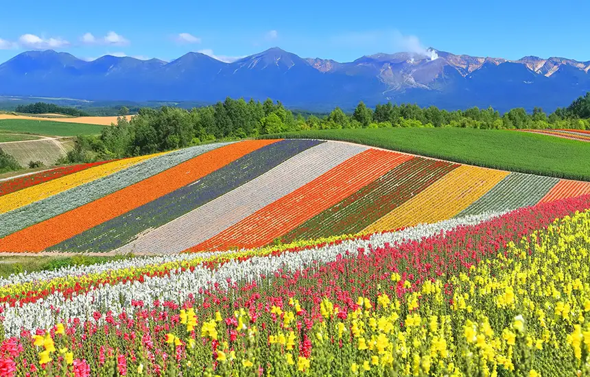 Majestic Natural Landscape of Hokkaido