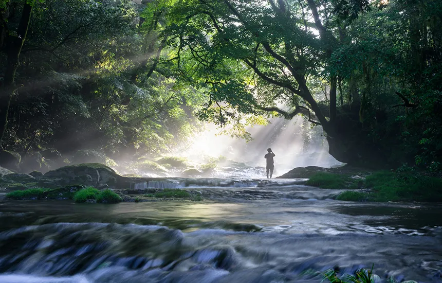 Person enjoying a wellness moment in a sunlit forest stream in Japan
