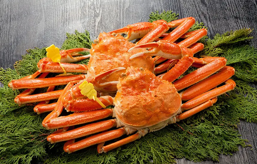 Fresh seafood from the Japan Sea