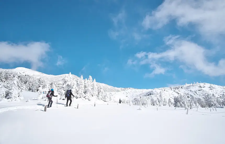 People enjoying snowshoeing in the snowy mountains.