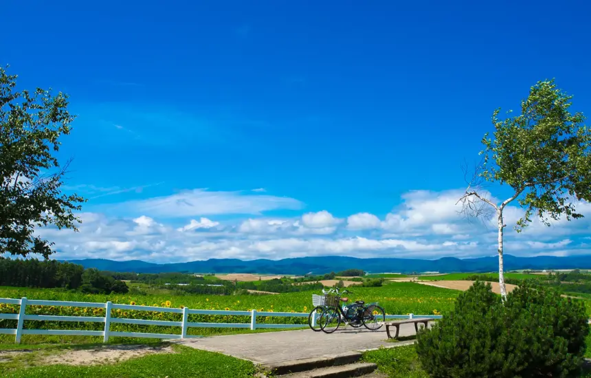 Biei Patchwork Road and Panorama Road