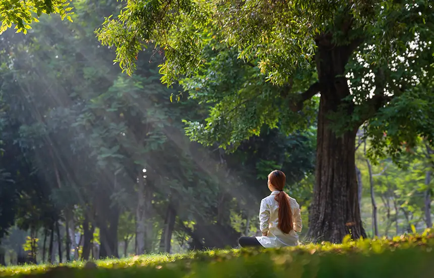 People standing meditatively in a vast natural landscape.
