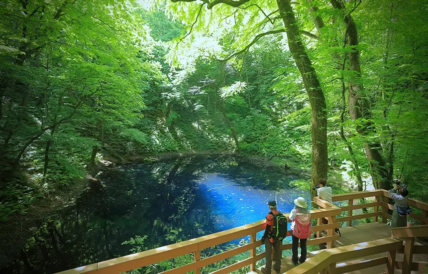 Activities in Nature