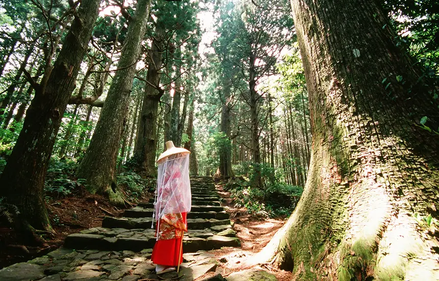 Activities to Enjoy in Kansai's Nature