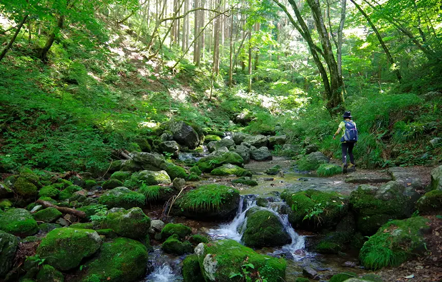 People enjoying wellness activities in nature.