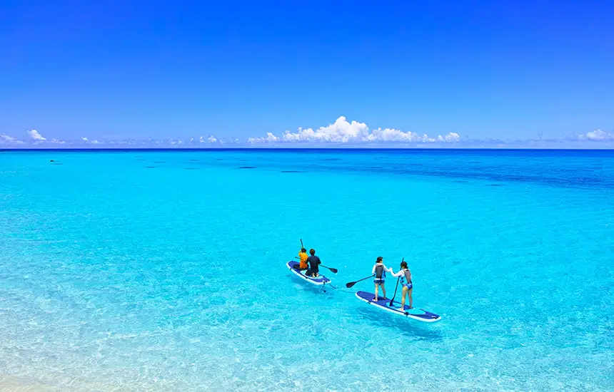 People doing SUP yoga.