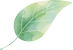 right leaf icon