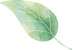 left leaf icon