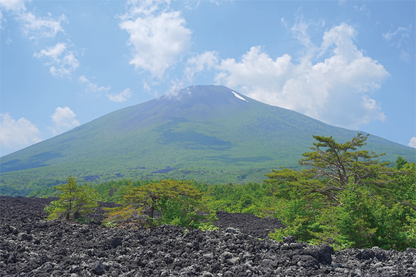 solo_tohoku_day3_3