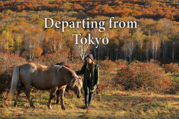 3-Day Tohoku: Solo Journey to Zen & Nature