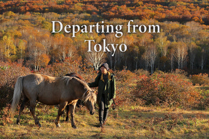 3-Day Tohoku: Solo Journey to Zen & Nature