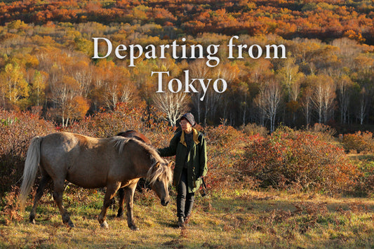 3-Day Tohoku: Solo Journey to Zen & Nature