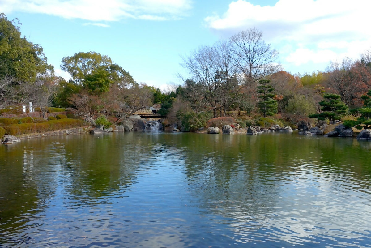 文化公園日本庭園
