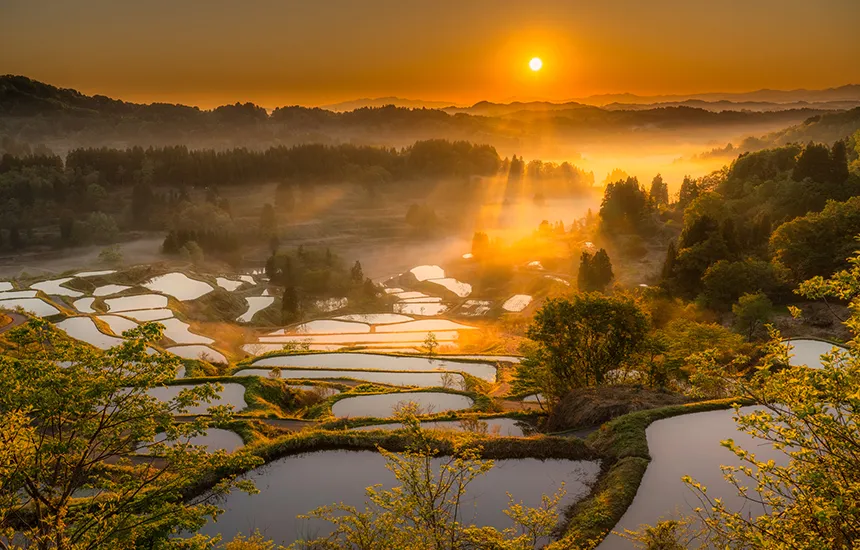 Discover Japan's Diverse Regions for Unique WellnessExperiences