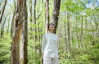 Wellness travel scene of a woman forest bathing in Japan’s lush green forest