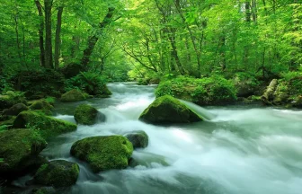 Majestic Natural Landscape of Tohoku