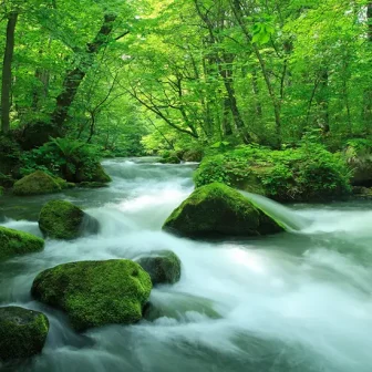 Majestic Natural Landscape of Tohoku