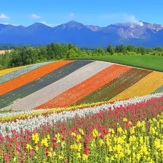 Majestic Natural Landscape of Hokkaido