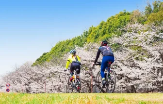 People Cycling
