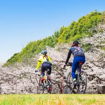 People Cycling
