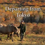 Tohoku solo trip