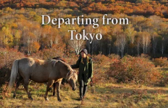 Tohoku solo trip
