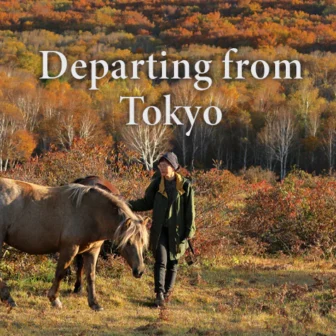 Tohoku solo trip