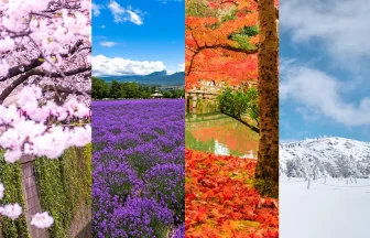 Collage of Japan’s four seasons