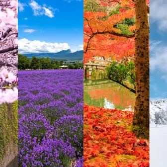 Collage of Japan’s four seasons