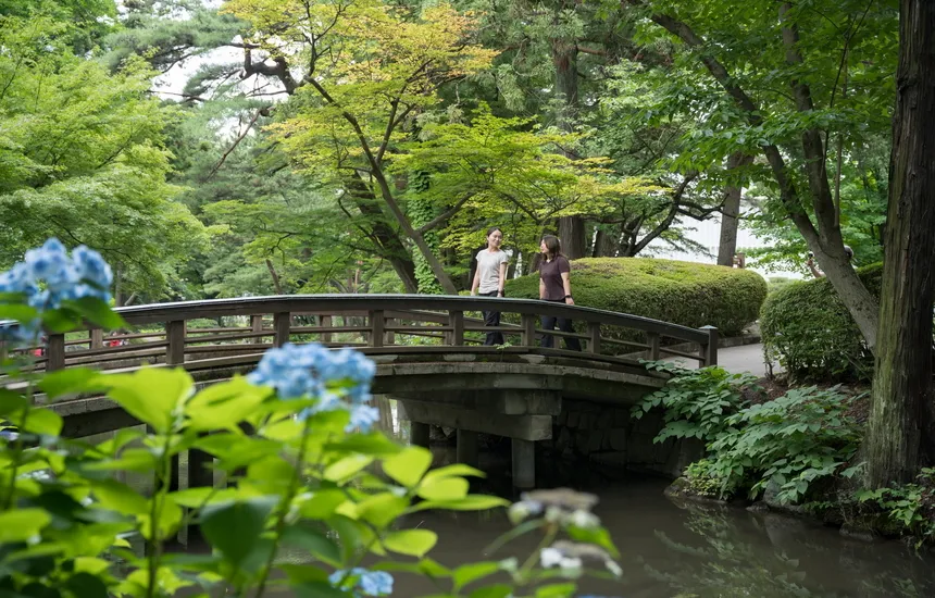 People walking on a trail in a lush forest.