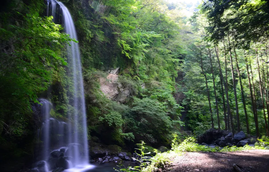Hear the sounds of nature.