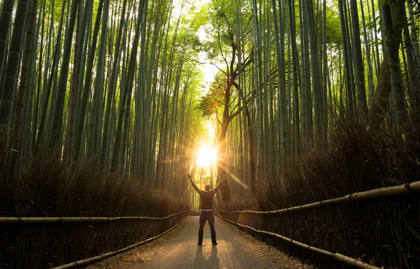 A person standing in a vast, open landscape.