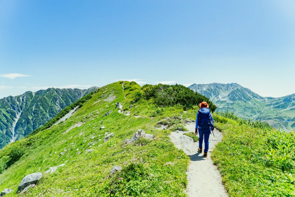 People walking on a path in a fresh green forest

