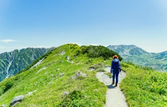 People walking on a path in a fresh green forest