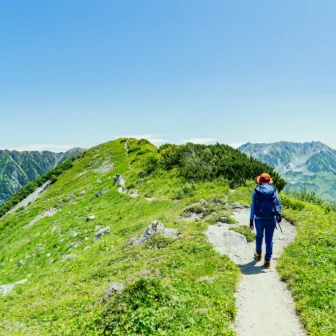 People walking on a path in a fresh green forest