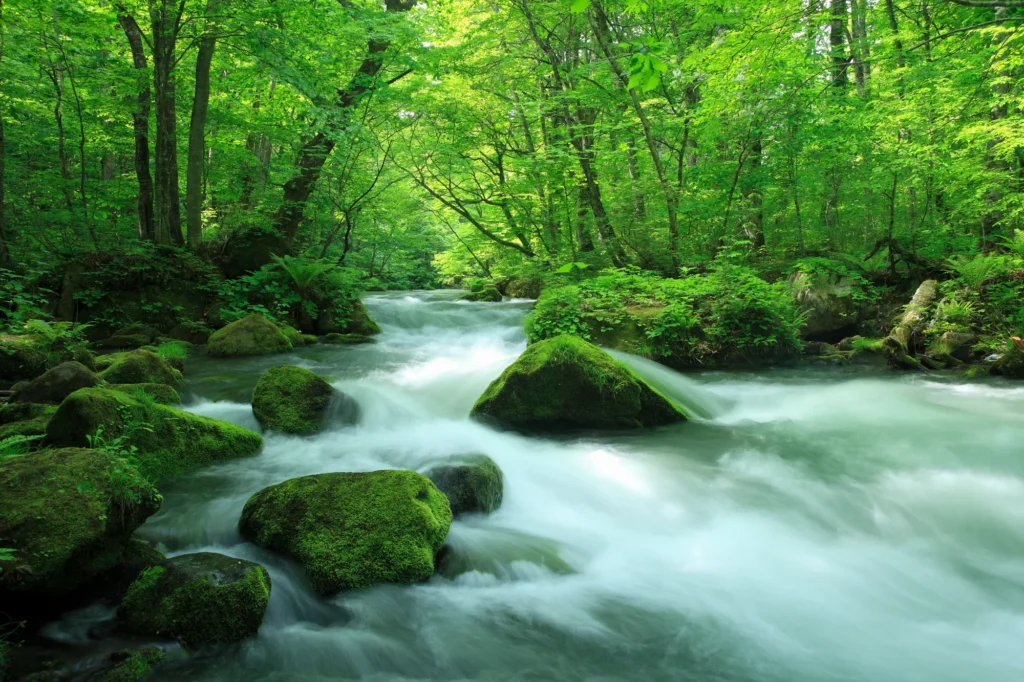 The clear stream of Oirase Keiryu
